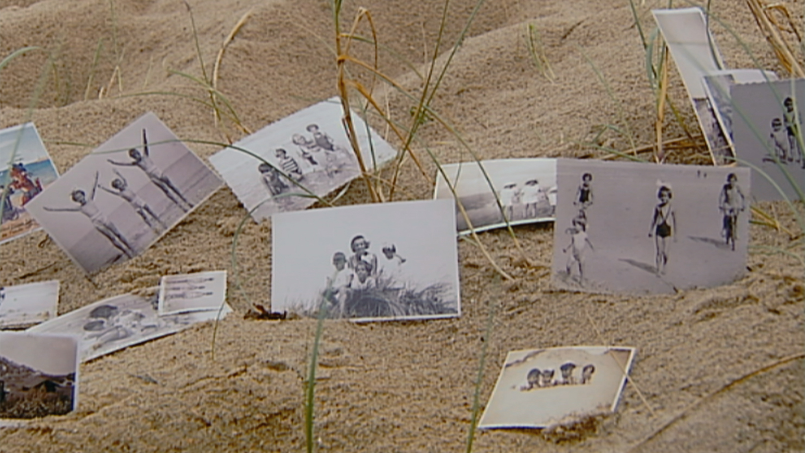 Color photograph of beach sand taken up close with black and white photographs scattered about amidst strands of green beach grass; the content of the photos mostly illegible but of multiple people posed together like family vacation photos